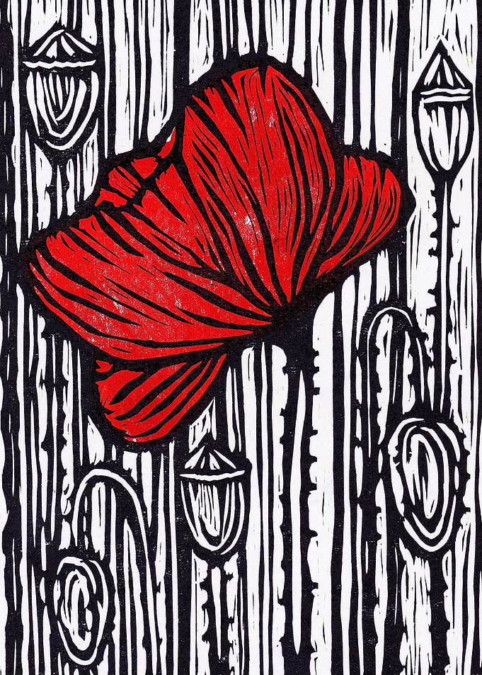 Poppy on Moonlight Meadow