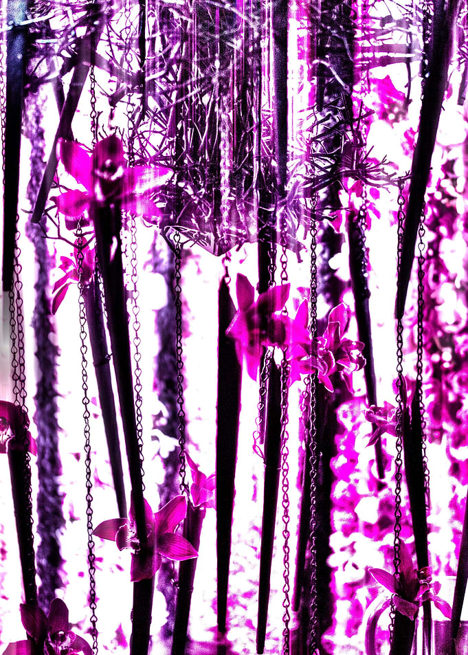 Funky Pink Floral Abstract