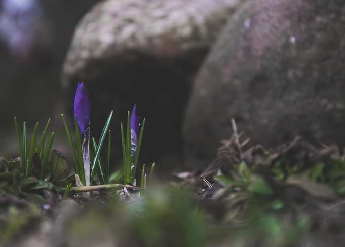 Spring is here