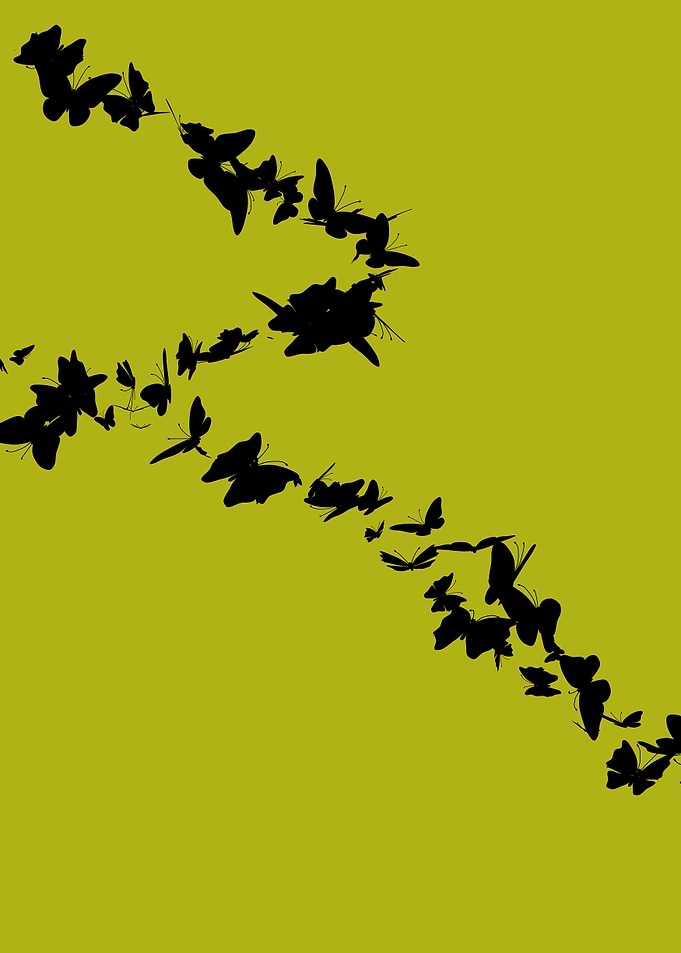 ButterfliesInMusic03