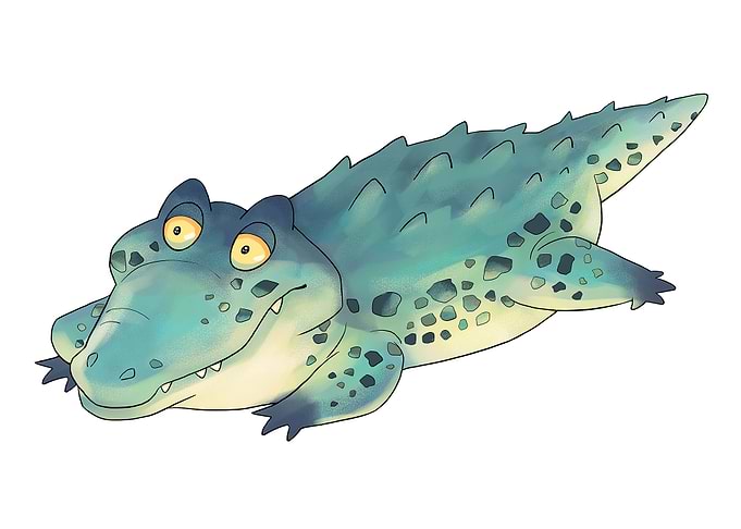 Crocodile