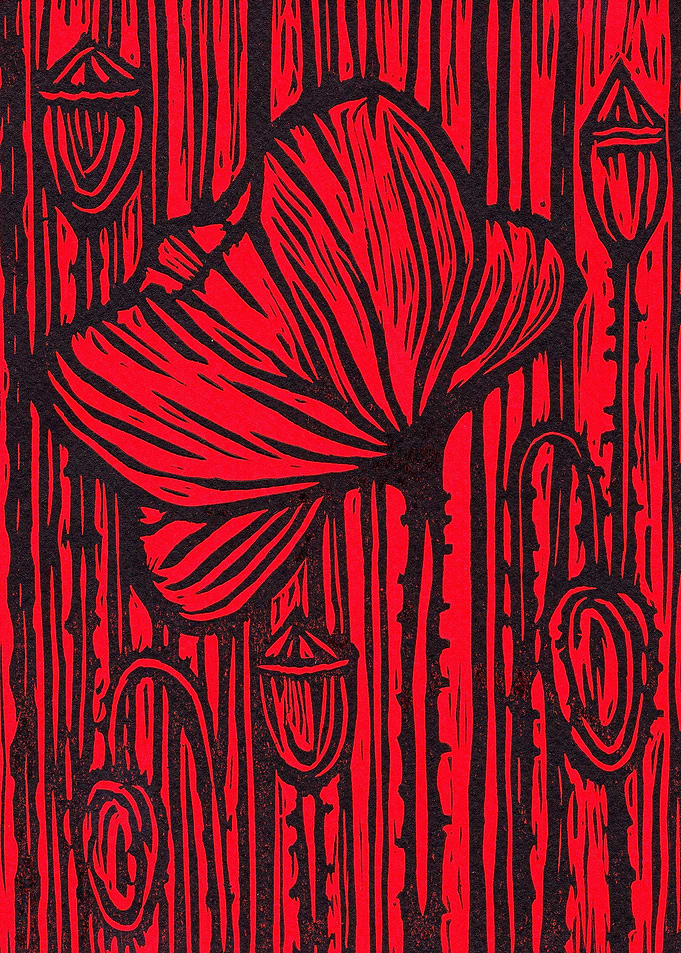 Poppy in Red Light