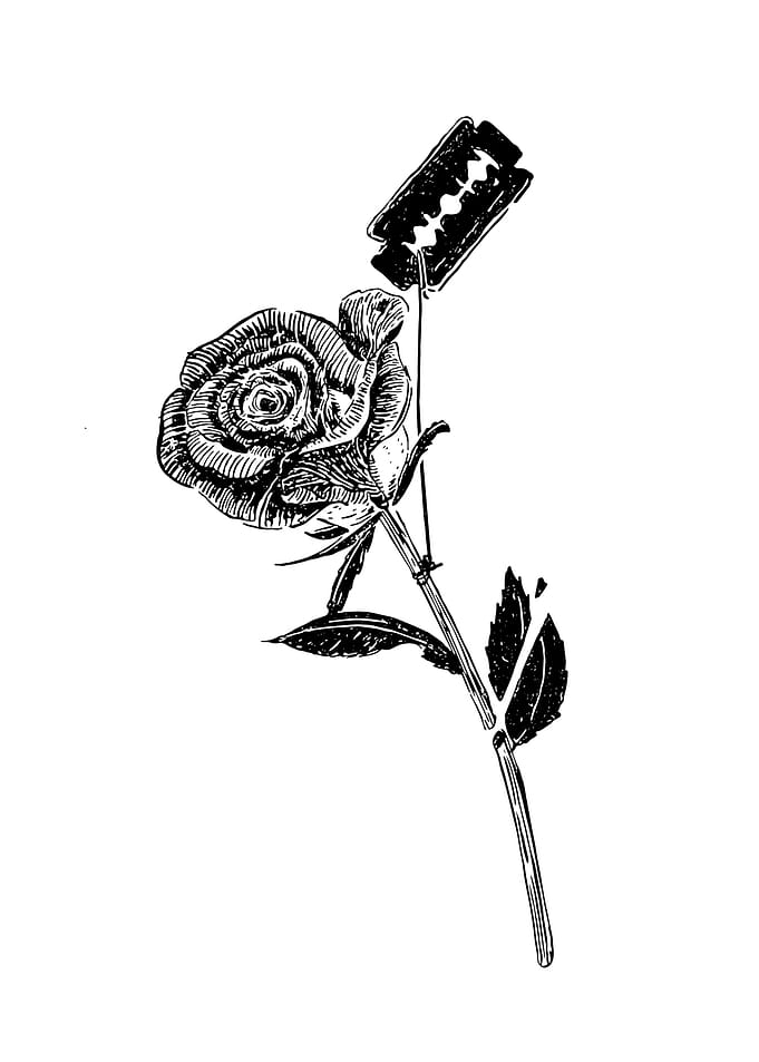 Flight of Rose