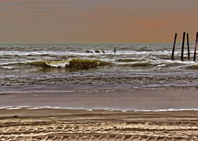 Shore at Sunset