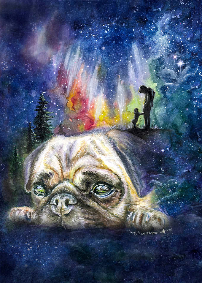 Darcys Daydream