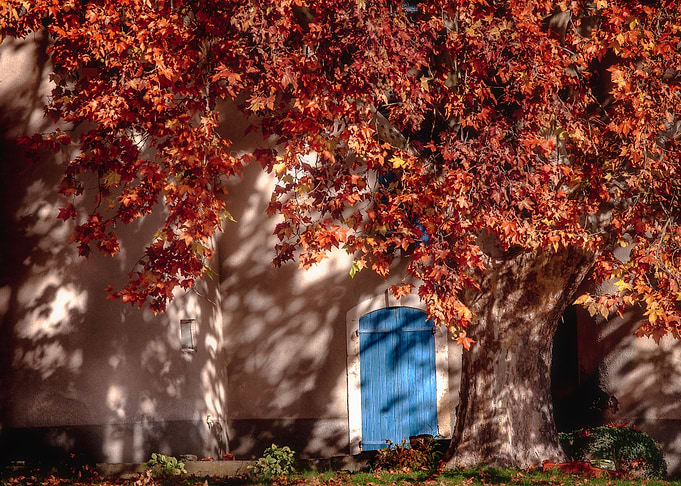Blue door