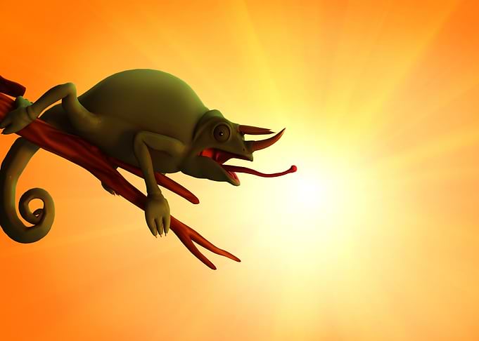Chameleon at sunset