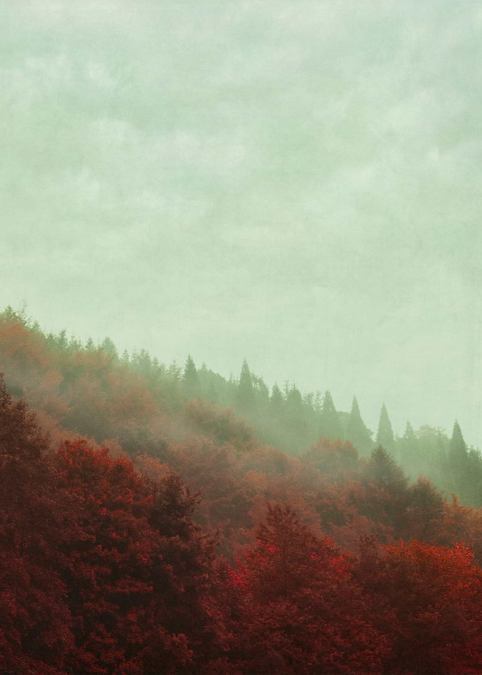 retro red forest