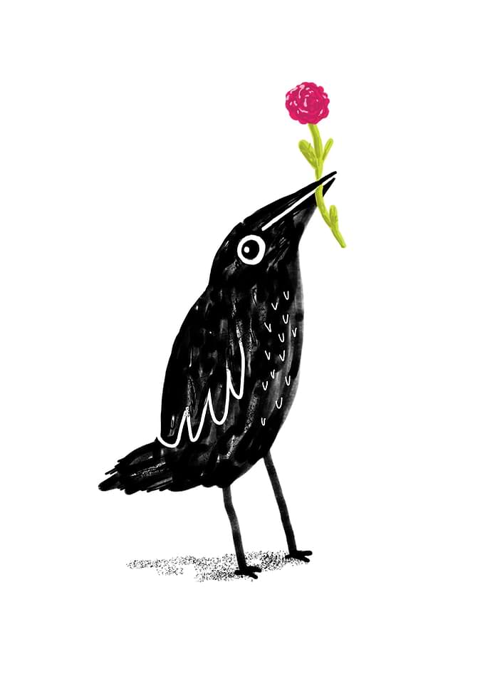 Caw Blimey