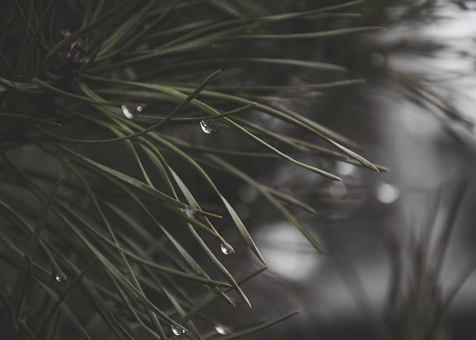 Drops