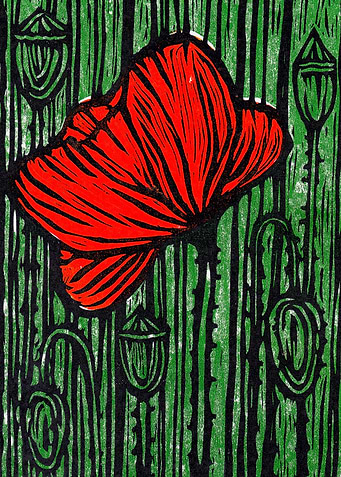Poppy on a Green Meadow