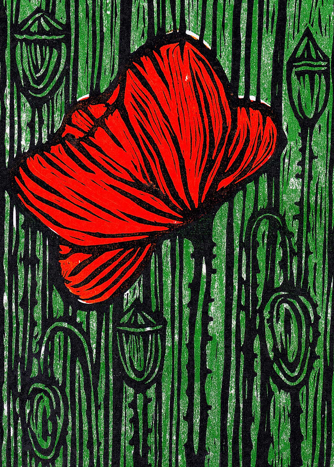 Poppy on a Green Meadow