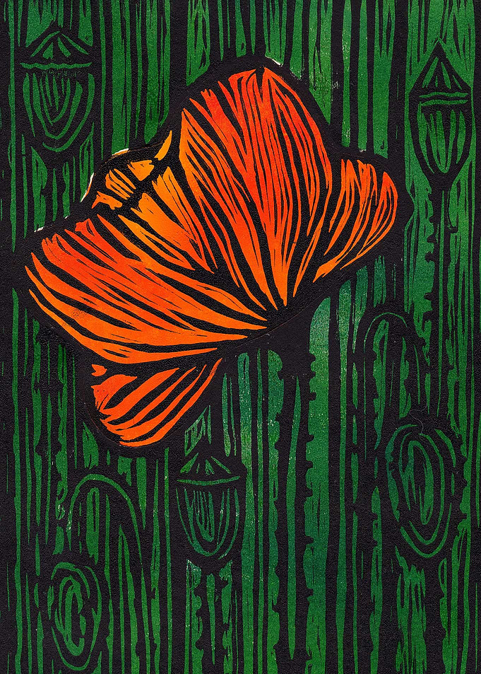 Orange Poppy on a Meadow