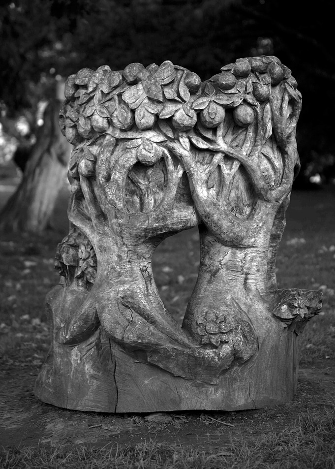 Carved Life