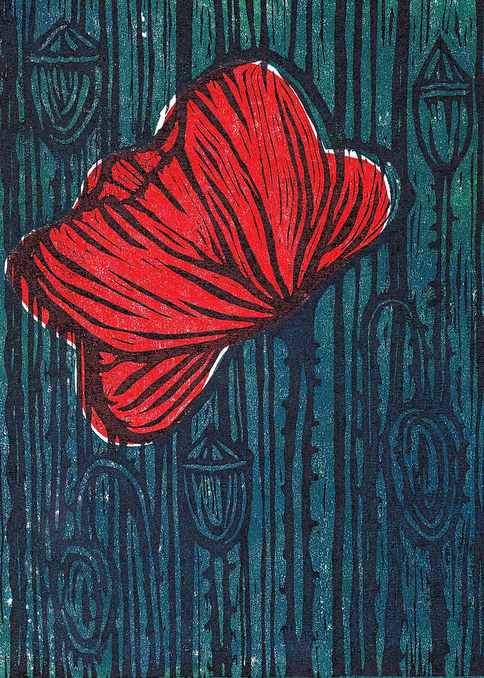 Poppy on a Night Meadow