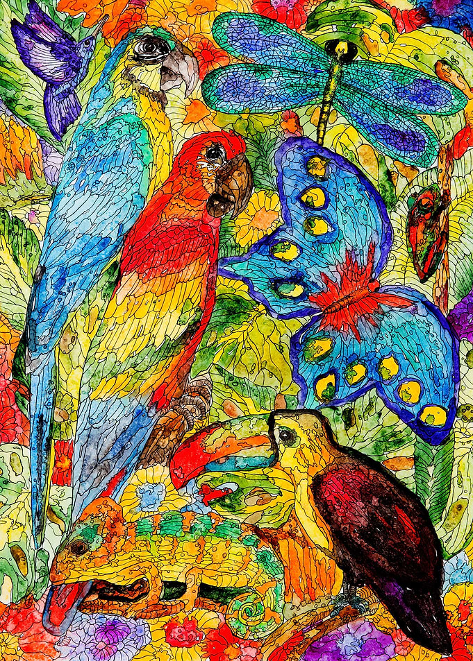 Two Parrots Sad Toucan