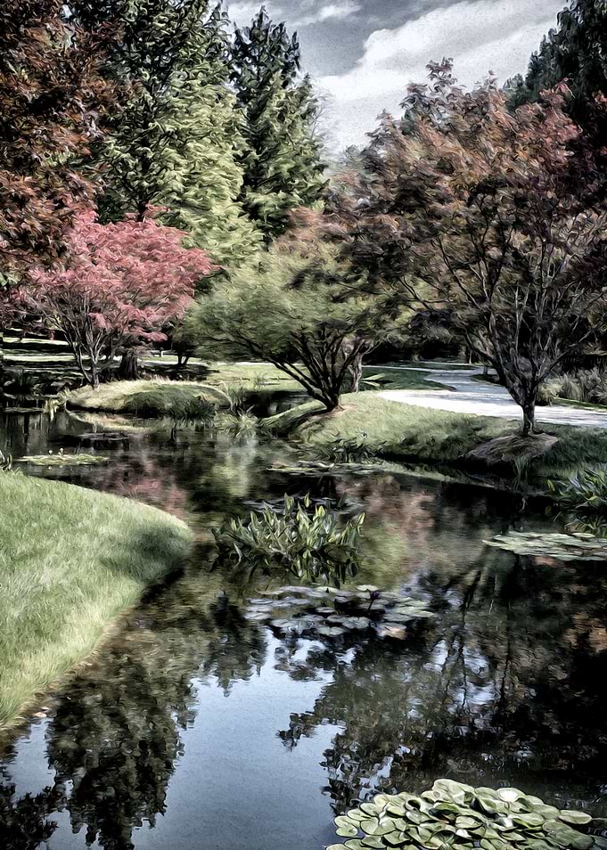 Fall Reflection