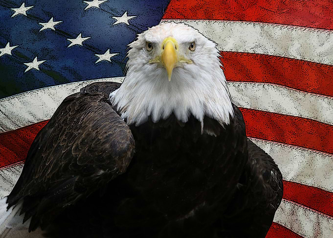 Fight Freedom