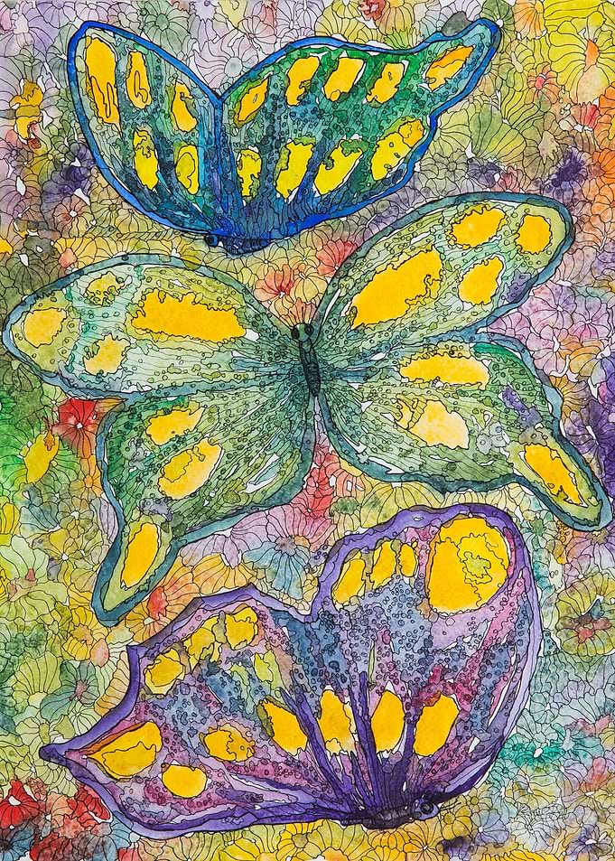 Color Meadow Butterflies