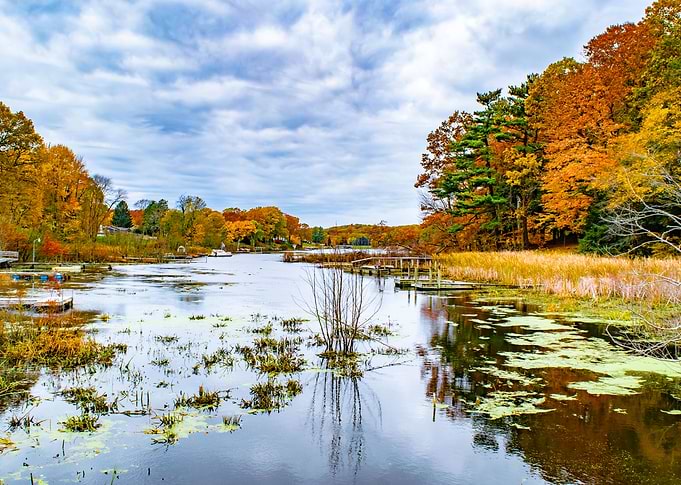 Autumn Reflections