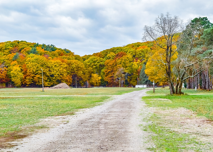 Path to Nature