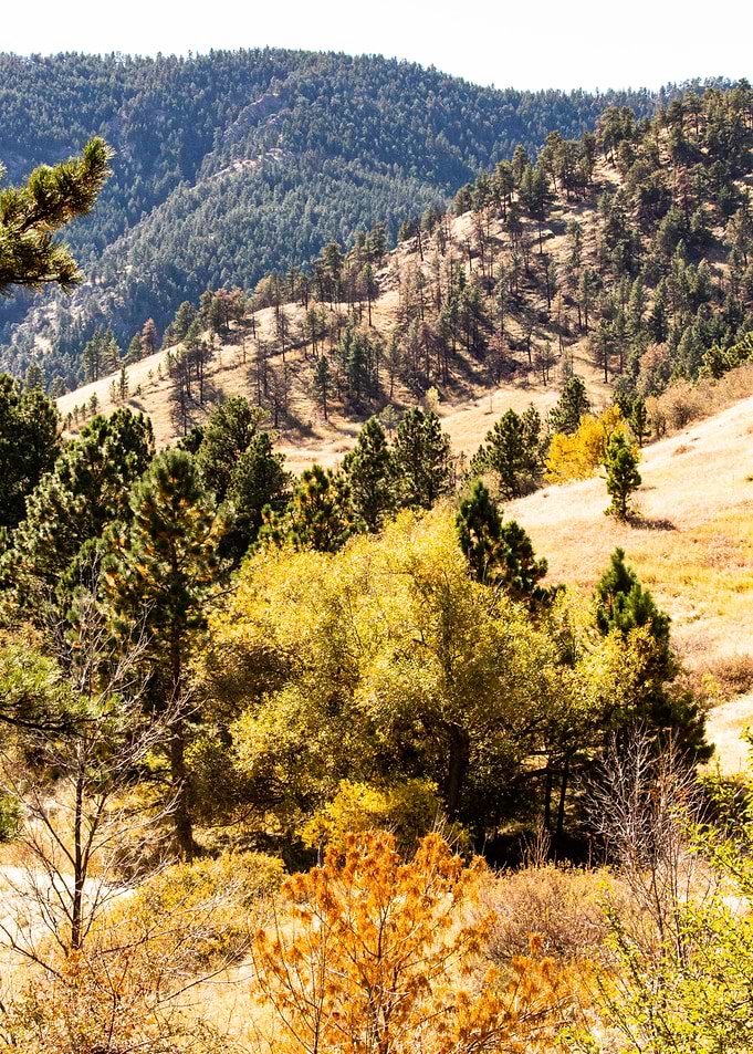 Mount Sanitas