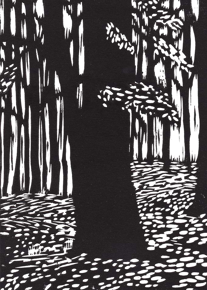 Tree in the Park