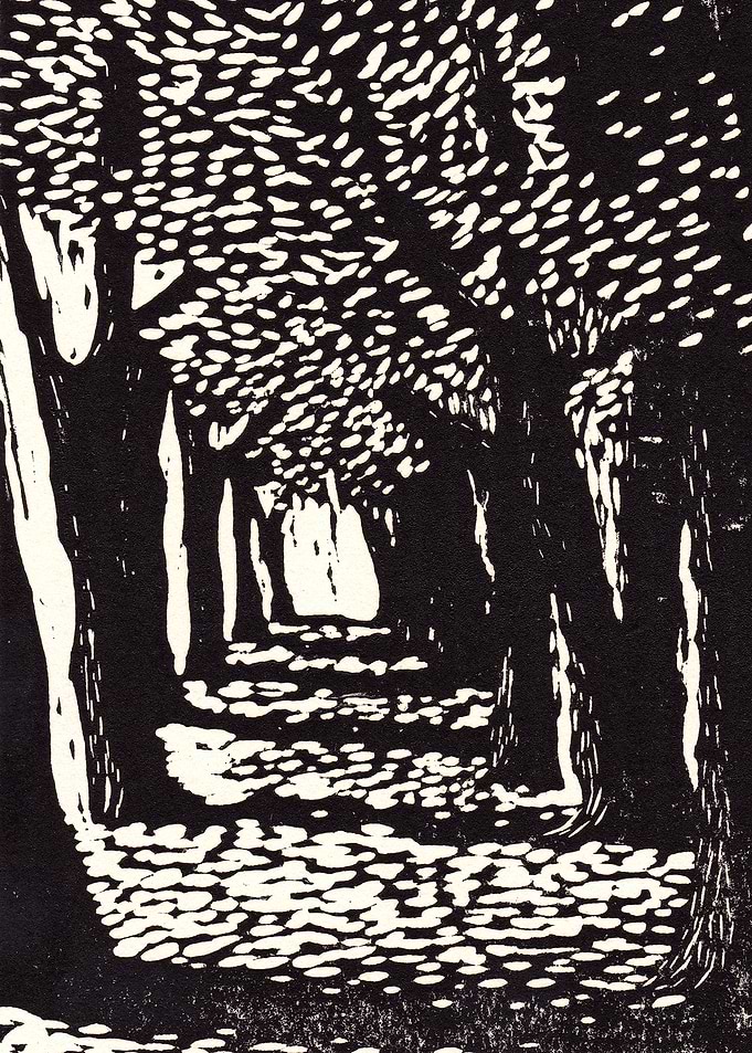 Black Trees Avenue