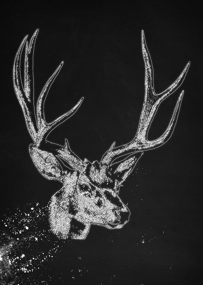 Deer D7