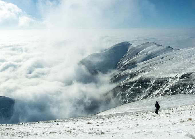 Into the white