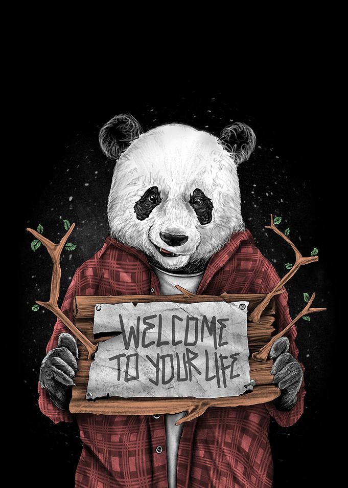 panda panda