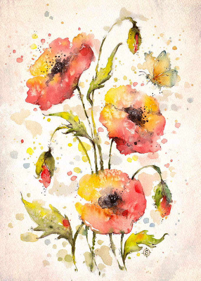 Poppies Galore