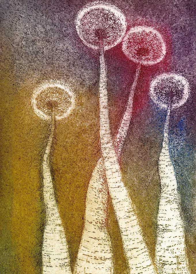 Y and V Sad Dandelions