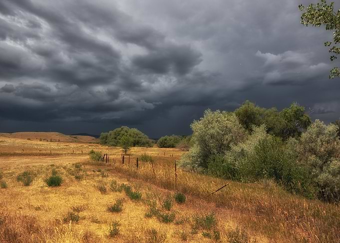 Storm