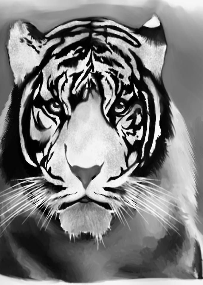 T The Tiger