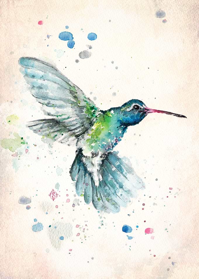 Hummingbird Flurry
