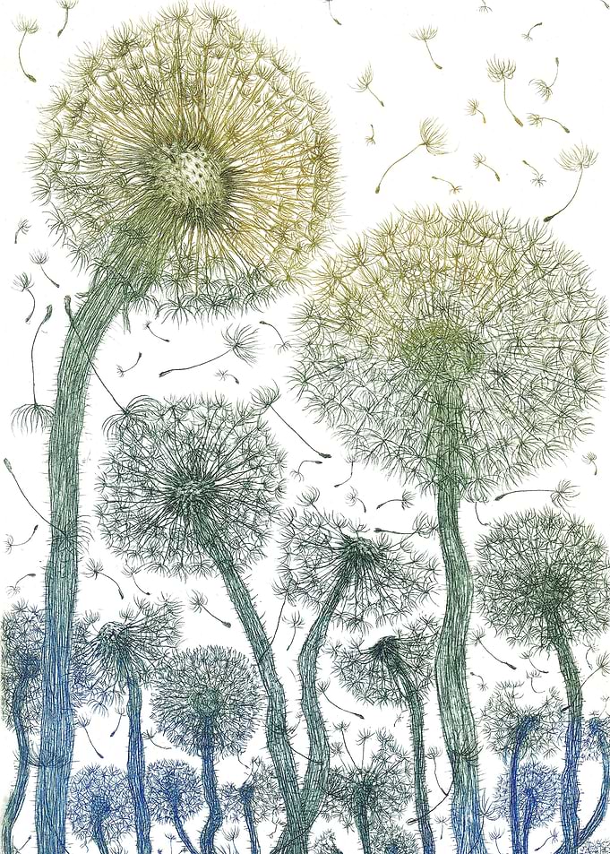 Crazy B and G Dandelions