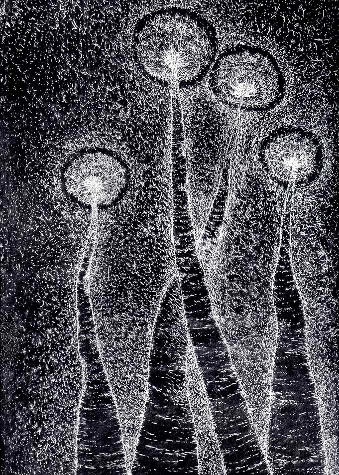 Luminous Sad Dandelions