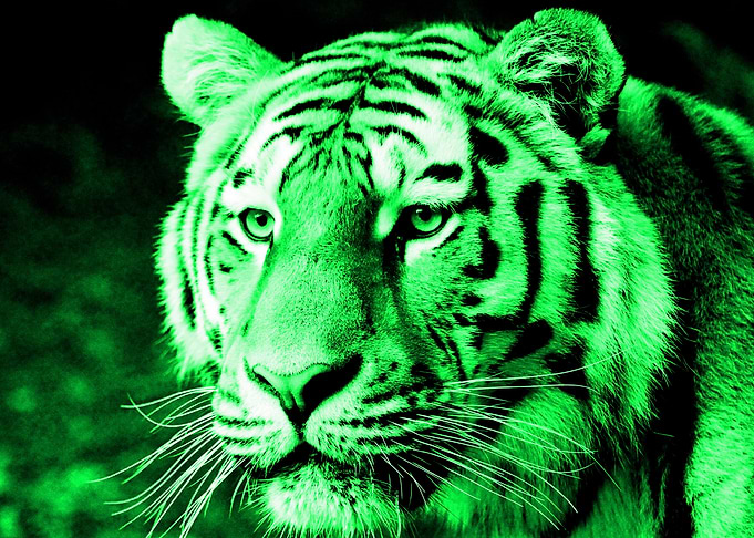 Tiger digiart green