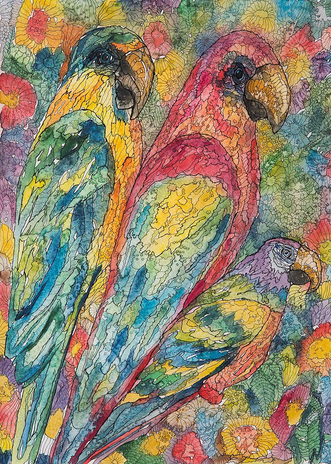 Three Relaxed Parrots