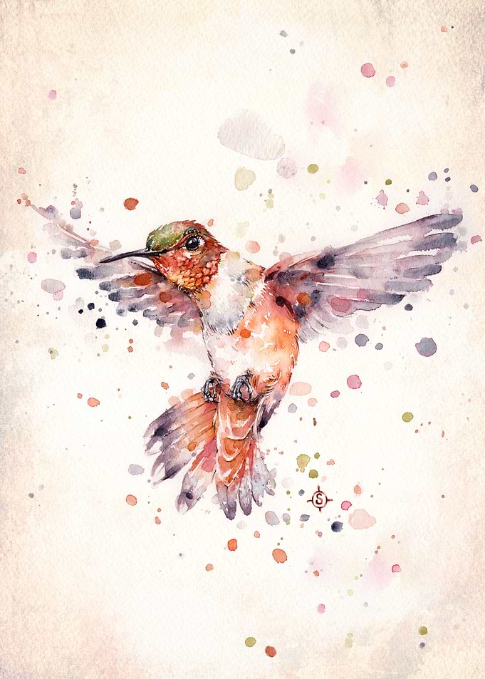 Rufous The Hummingbird