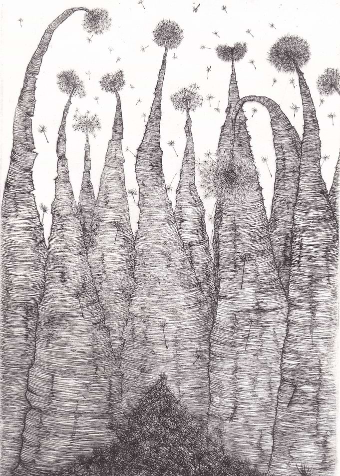 Black Dandelions
