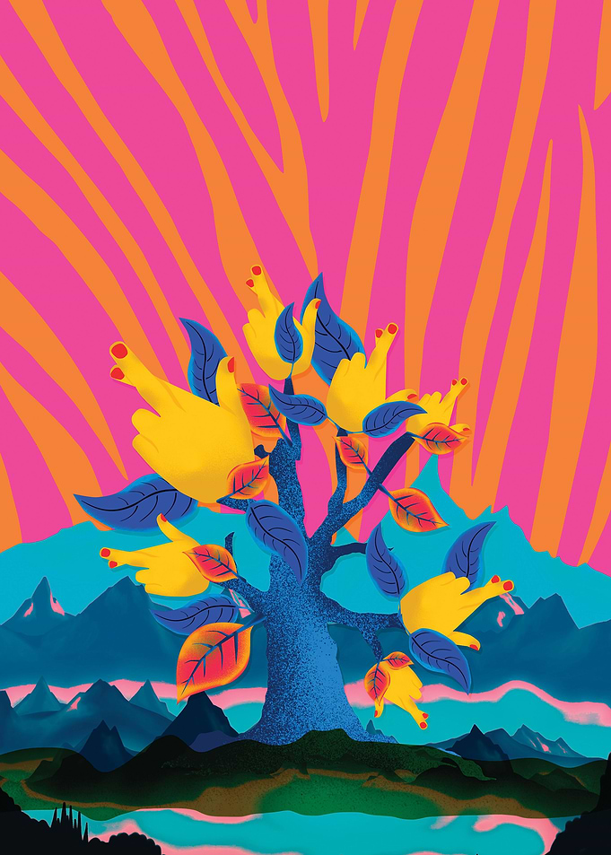Authors illustration