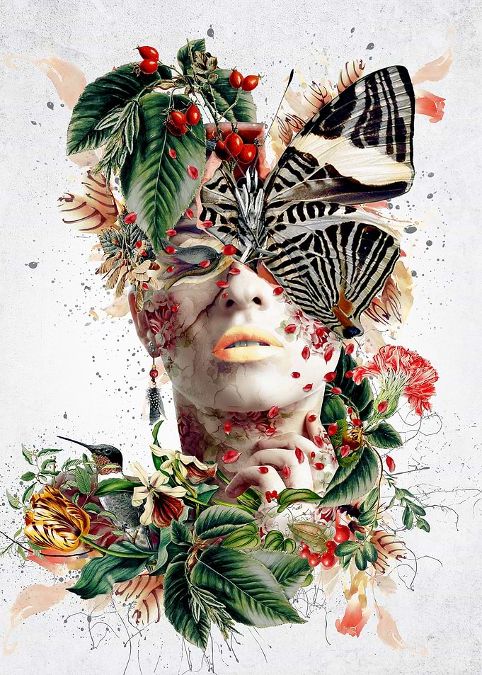 inside butterfly