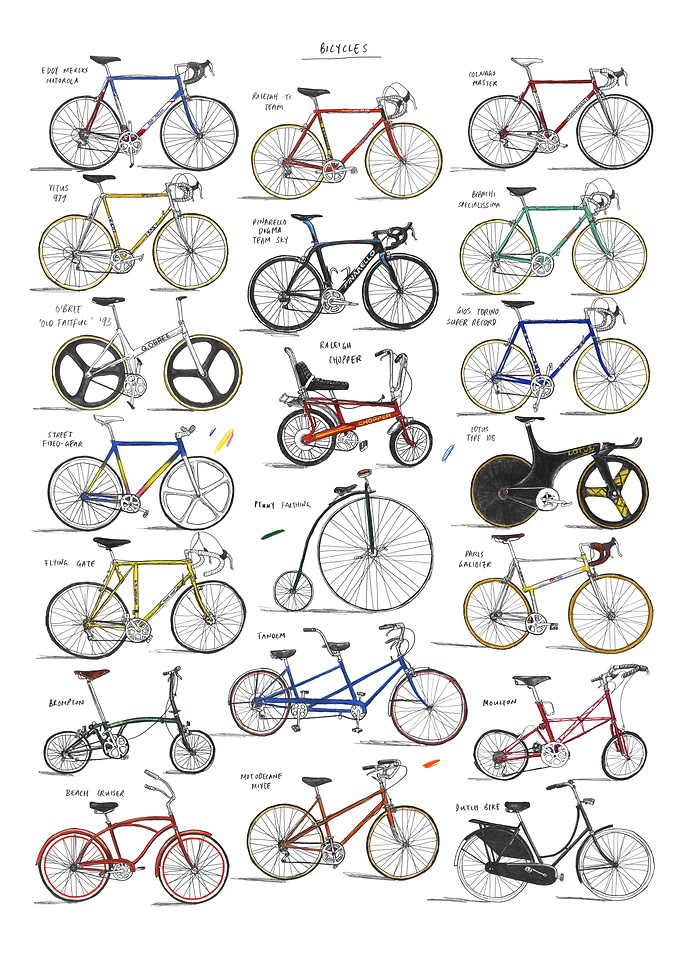 A Collection Of Bicycles