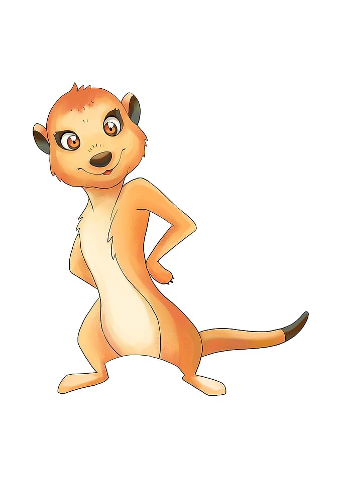 Meerkat