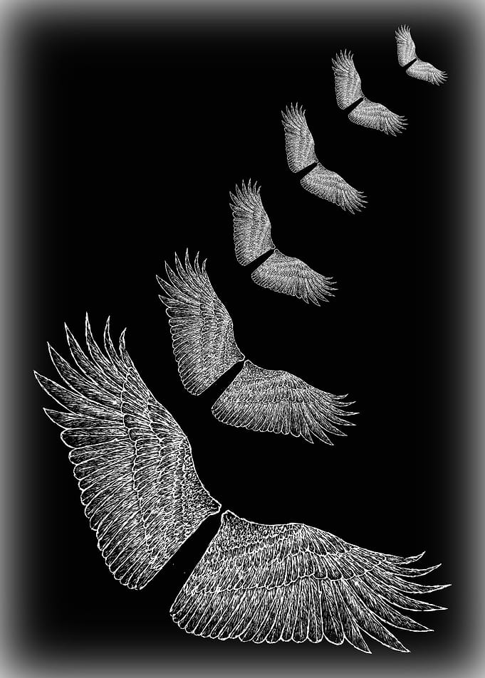 Wings