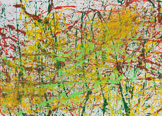Crazy Colorful Meadow