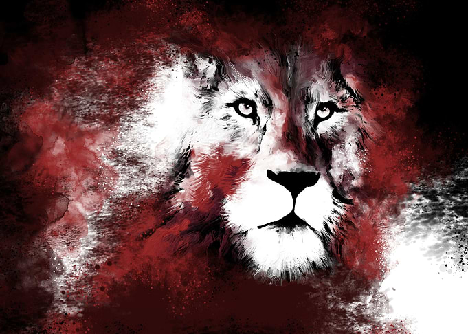 Abstract African Lion