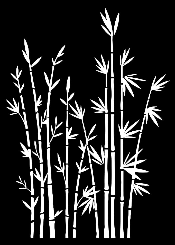 Asia Bamboo
